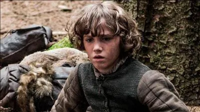 Qui est ce fils Stark ?