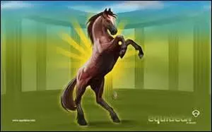 On peut gagner des equus.