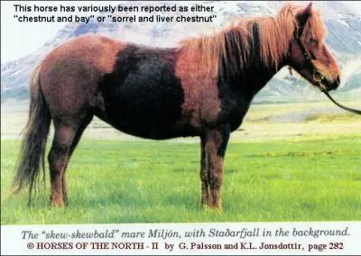 Une robe pie contient forcément du blanc. (2 réponses)