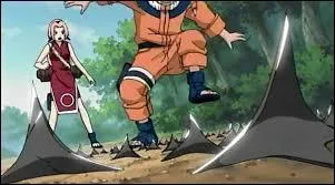 Comment se nomme cette arme ?