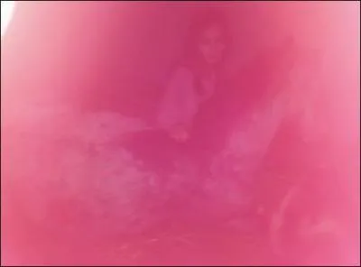 Où loge-t-on le cheval ?