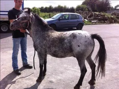 Qui appeler en cas de problème aux sabots ?