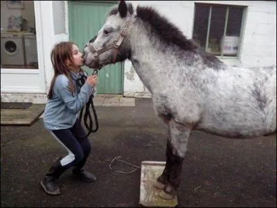 Faut-il avoir une complicité ?