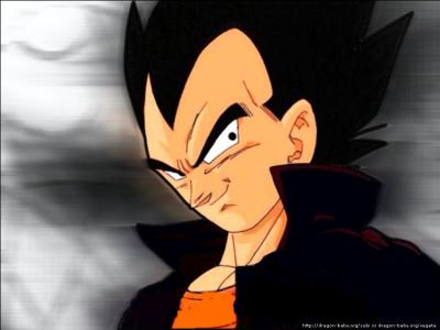 Mari de Bulma et père de Bra et Trunks, je suis un Saiyan qui considère Son Goku comme mon rival. Qui suis-je ?