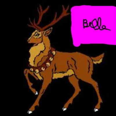 Lequel de ces noms de rennes est vrai ?