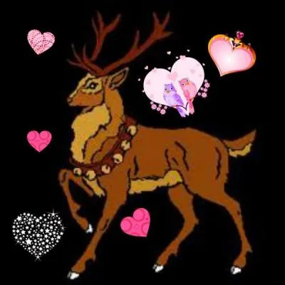 Lequel de ces noms de rennes est vrai ?