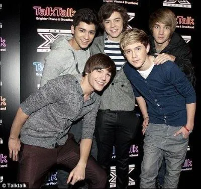 En quelle année les 1D ont-ils sorti l'album "Up all Night" ?