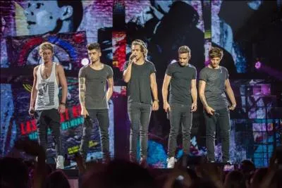 Ils ont terminé à la 4 e place de X Factor