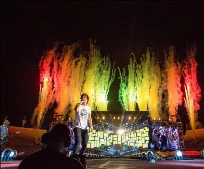 On est La plus grande fanbase du monde ?