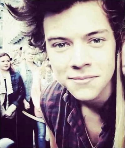 Quelle est la couleur préférée d'Harry ?