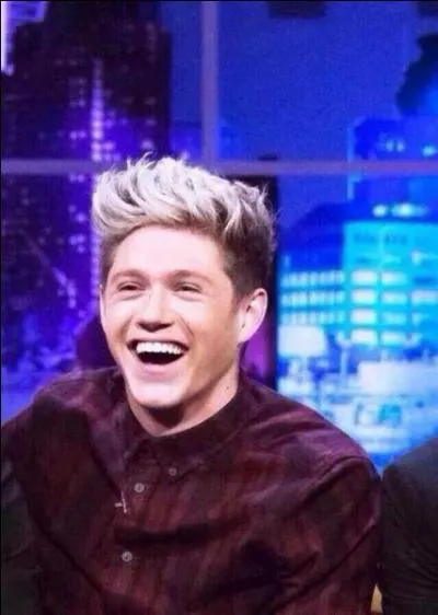 Quelle est la date de naissance de Niall Horan ?