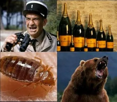 De quoi a-t-on peur si on est atteint d'arctophobie ? Indice : Paddington.