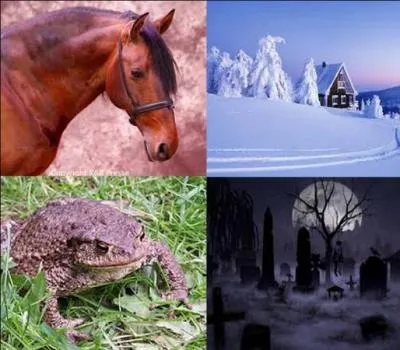 De quoi a-t-on peur si on est atteint de chionophobie ? Indice : boule.