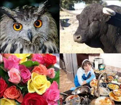 De quoi a-t-on peur si on est atteint d'huhulophobie ? Indice : Harry Potter.