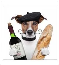 Cette rue parisienne, au nom emprunt de poésie, est située dans le troisième arrondissement, c'est la rue du Chien qui pète !