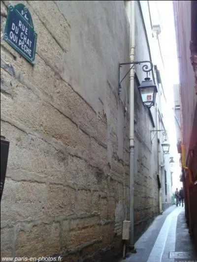 Et puisque nous sommes dans le monde animalier, je ne manquerai pas de vous faire visiter la rue du Chat qui pêche !