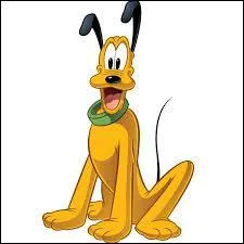 Le chien. Comment s'appelle-t-il ?