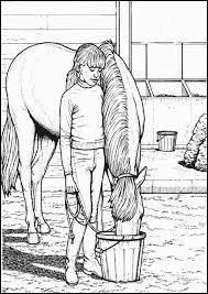 Donne un exemple de fourrage.