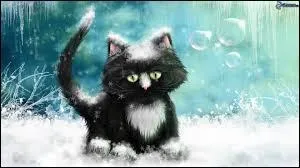 Un joli poème.
"Il a neigé.
Il a neigé dans l'aube rose/ Si doucement neigé/ Que le chaton noir croit rêver/ C'est à peine s'il ose/ Marcher"
Donnez-moi le nom du poète.