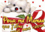 Quiz Qui est ma maman ? 1