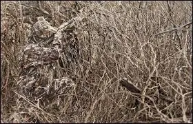 Là, on peut dire que l'on change de catégorie, quel animal identifiez-vous ?