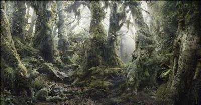 Beaucoup d'animaux sont reproduits sur cette image, mais une seule réponse est la bonne !