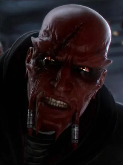 De quelle espèce était Vindican, le maître de Dark Malgus ?