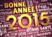 Quiz Bonne année 2015 !