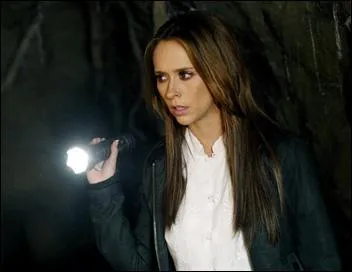 De combien de saisons la série est-elle composée ?