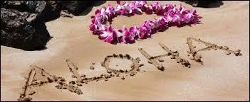 Dans quel océan se situe l'archipel d'Hawaï ?