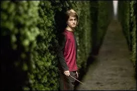 De quel bord Maugrey dit-il d'aller à Harry à l'épreuve du labyrinthe ?