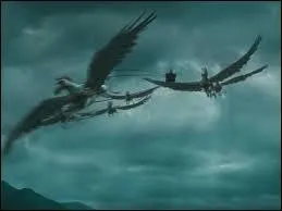 Rendus à Poudlard, que boivent les chevaux de Mme Maxime, directrice de Beauxbâton ?