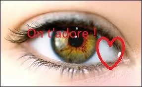 Quelle proportion de la population possède des yeux noisette, comme Besou ?