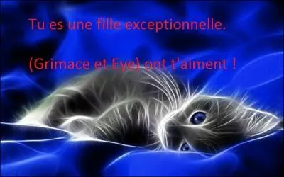 L'animal préféré de Besanthile est le chat. Mais savez-vous de combien d'os est composé ce félin ?