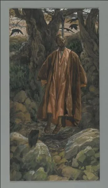 À quel arbre l'apôtre Judas se serait pendu après avoir trahi Jésus-Christ ?