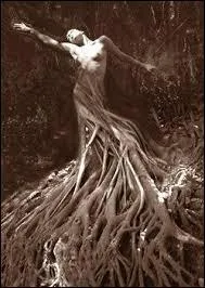 Quel est l'arbre qui est associé à la déesse de la terre Gaïa ?