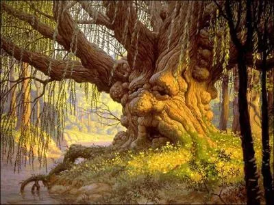 La nymphe Philye conçut du père de Zeus un enfant monstrueux. Prise de honte elle se métamorphosa en quel arbre ?