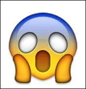 Soudain, le narrateur eut un sentiment d'______.