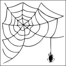 Le poète devait sûrement parler d'une vieille chambre, car de petites bêtes à huit pattes y tissaient ______ toiles.