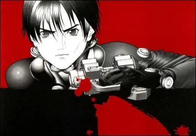 Quel est le seinen parmi ces mangas ?