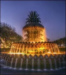 Aux États-Unis, à Charleston on aime les ananas, la preuve avec une fontaine en forme d'ananas très originale. Ce n'est peut-être pas la plus jolie, mais l'idée était bonne et très rigolote. Qui a dit que l'on ne pouvait pas s'amuser dans l'art ? Quel est son nom ?