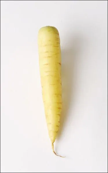 Quel est ce légume ?