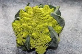 Quel est ce légume ?