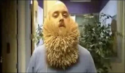 En ce qui me concerne, le systme pileux ne me barbe pas, que me dites-vous si je prcise  Gimme All you Lovin'  ?