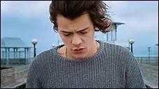 Qui chante le plus souvent le refrain dans ce clip ?