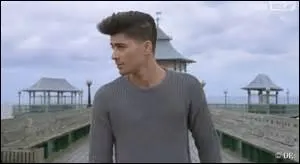 Quel membre du groupe chante avant Louis ?