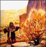 D'après les textes bibliques, sans compter les femmes et les enfants, combien de personnes ont suivi Moïse ?