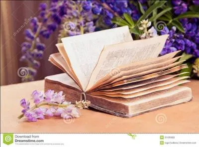 Dans le roman de qui rencontre-ton Colin et Chloé ?