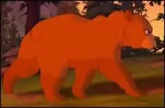 Kenai est un humain à la base.