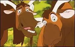 Les élans s'appellent Machin et Bidule.